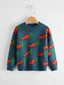 Toddler Boys Carrot Print Sweater SD