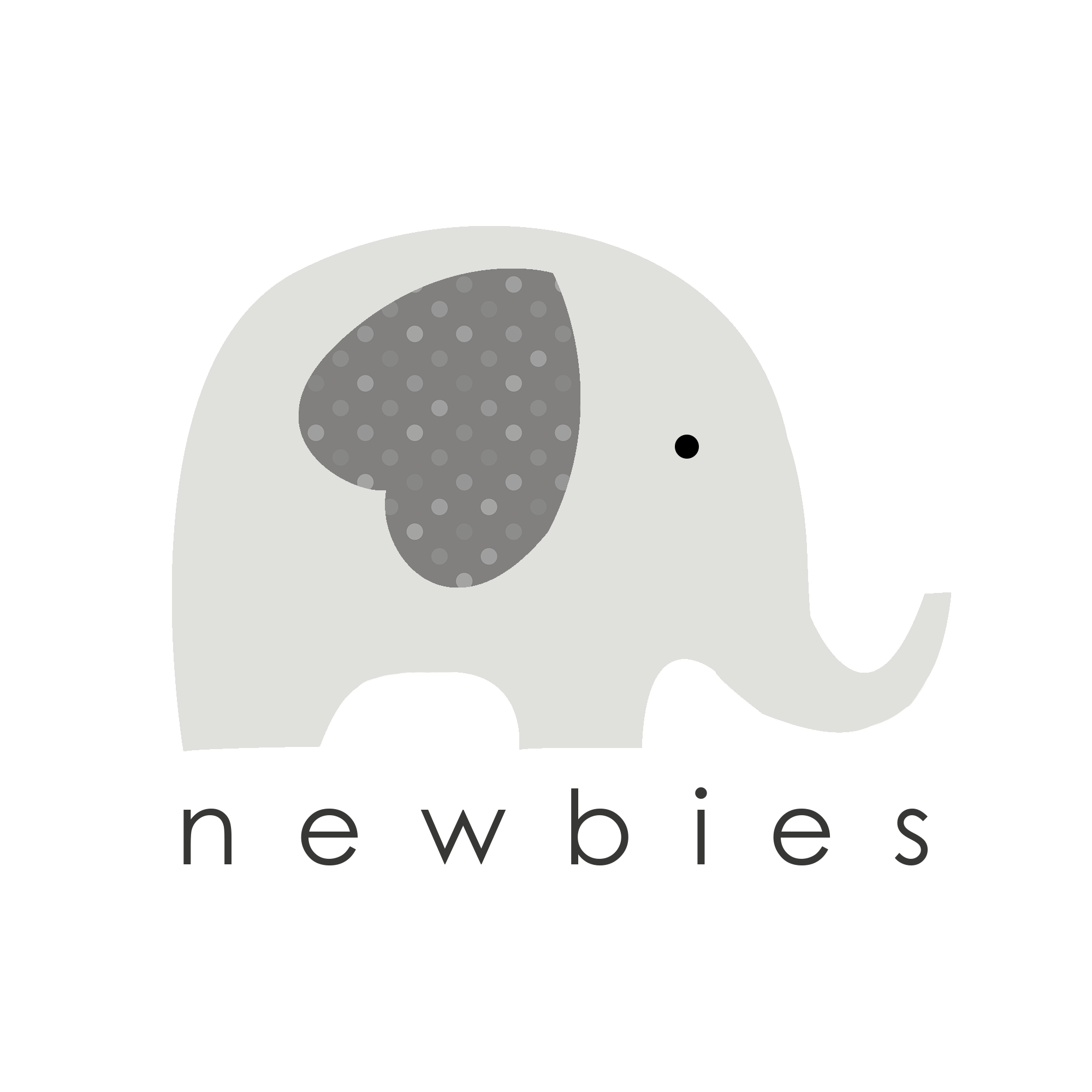 Newbies Store Pk