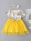 Baby Girl Floral Bodice Mesh Hem Dress with Headband SD