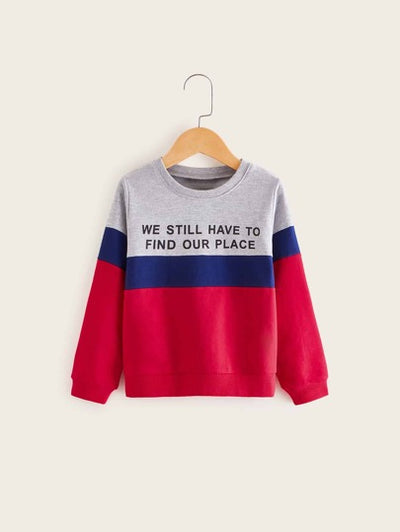 Toddler Boys Letter Graphic Contrast Panel Sweatshirt SD