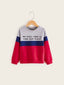 Toddler Boys Letter Graphic Contrast Panel Sweatshirt SD