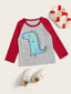 Toddler Boys Contrast Raglan Sleeve Dinosaur Print Tee SD