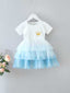 Baby Girl Crown Detail Mesh Layered Hem Ombre Dress SD