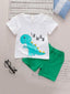 Baby Boy Dino Graphic Tee & Shorts SD