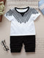 Toddler Boys Mosaic Graphic Shirt & Shorts SD