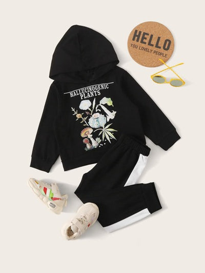 Toddler Girls Graphic Hoodie & Panel Pants SD